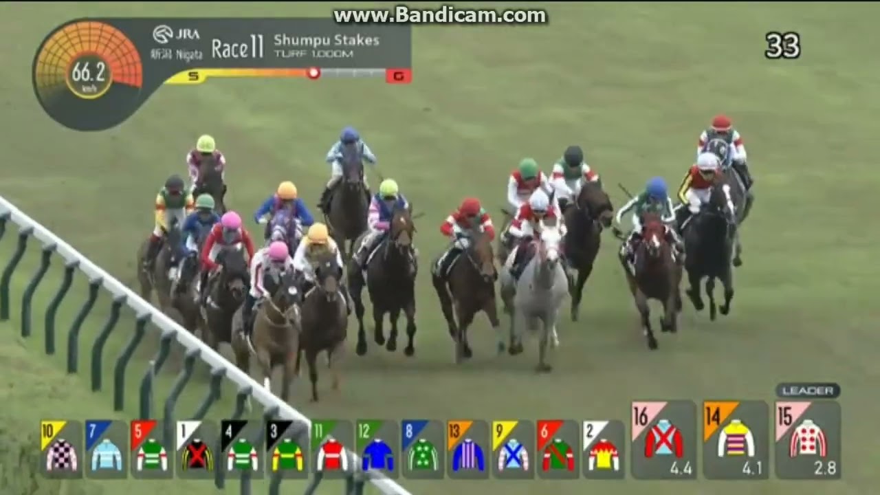 2025 駿風ステークス (3勝クラス) レベレンシア - YouTube