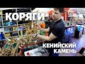 Коряги в аквариум: принимаем поставку