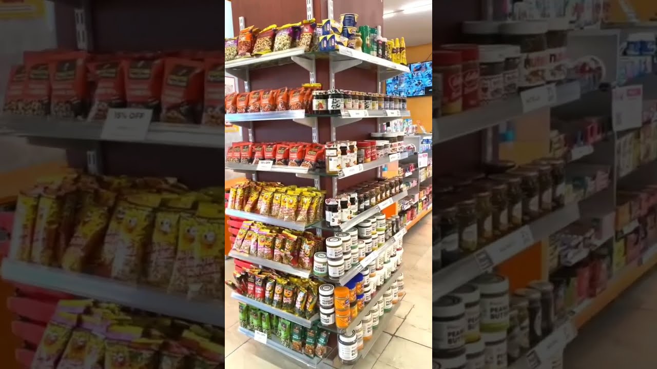 Udaipurvisit Visits MagSon | 