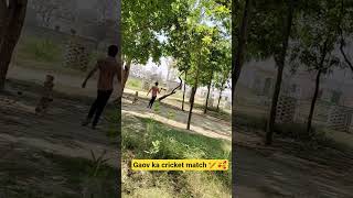 gaov ka cricket match 🏏🥰❣️ #dost #cricket #matchday #foryou #anytimeentertainment