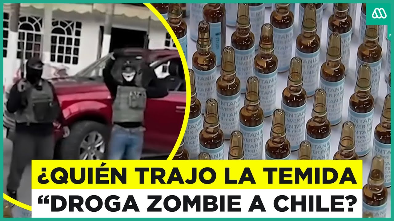 ¿Quién la trajo a Chile? La llegada de la temida 