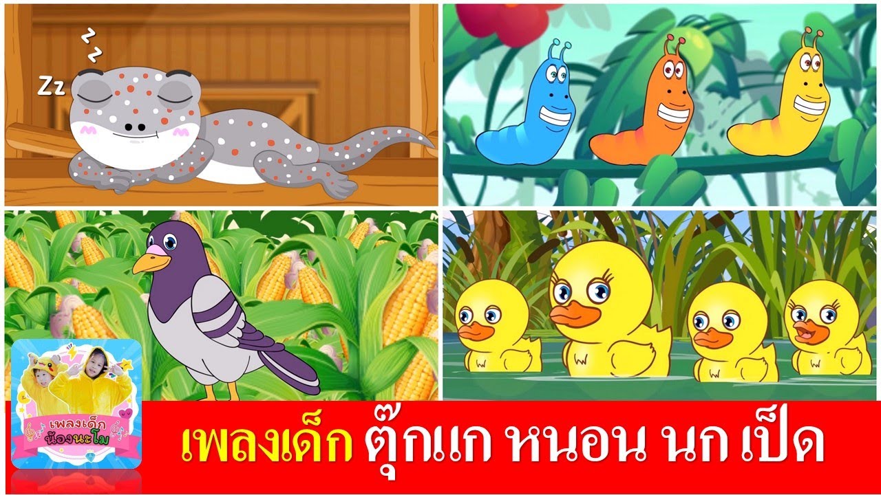 เพลงเด็ก ตุ๊กแก หนอน นก เป็ด | ตุ๊กแก | หนอนผีเสื้อ | นกเขาบินข้ามเขา | เป็ดอาบน้ำในคลอง