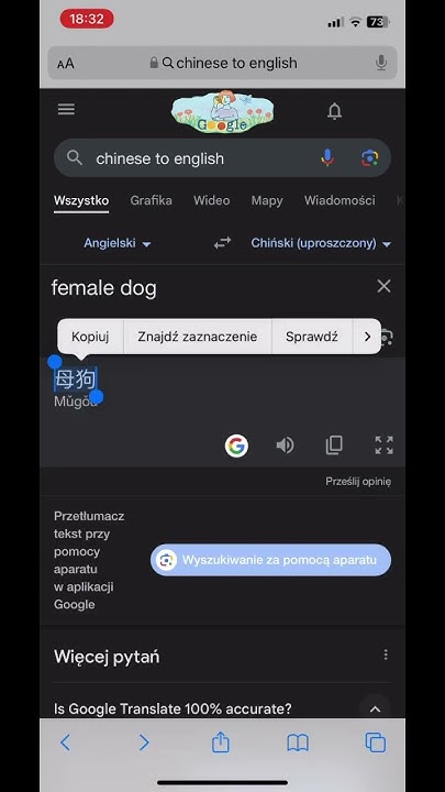 why-is-google-translate-youtube