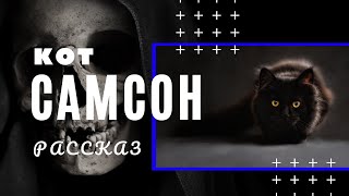 Кот Самсон. Рассказ.