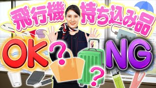 飛行機に持っていける？荷物の持ち込み・預け入れルール解説！