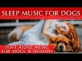 Soft Music for Dogs and Humans to Sleep To [432 Hz Relaxing Music]