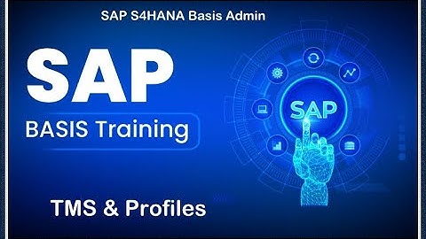 SAP S4HANA Basis Admin P1 (B04C05) - TMS & Profiles || Part 5