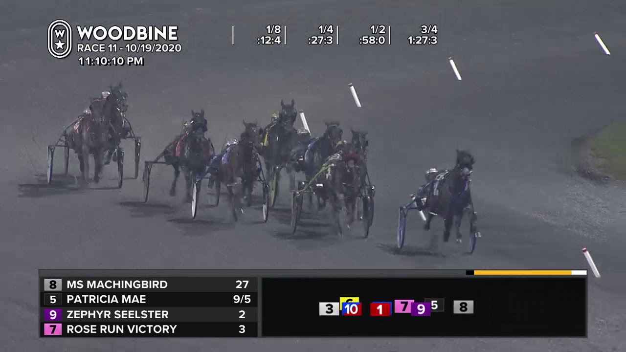 Woodbine, Mohawk Park, October 19, 2020 Race 11 - YouTube
