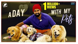 A Day With My Pets ||  Yash Adda || Yash Dance