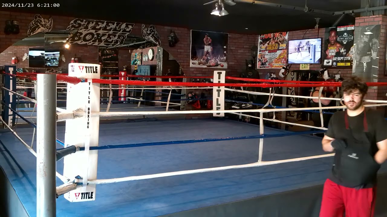 STEELEBOXER GYM ONLINE BOXING/ TRAINING PROGRAM www.steeleboxer.com