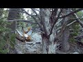 Nevada Stanley Springs Trail / Русские в Неваде
