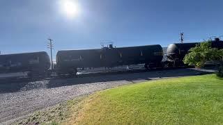 IMG 5705