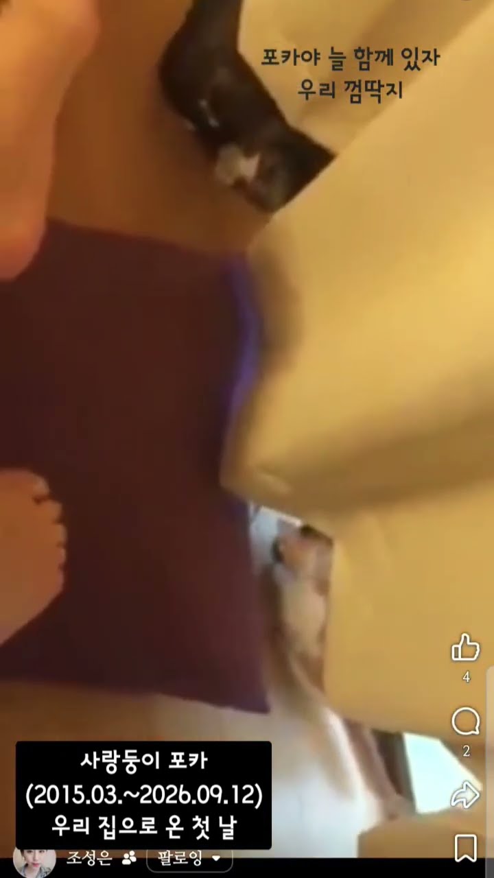 포카야 어디 가지말고 딱 붙어있자. 온 세상이 나랑 같이 했지 우리 포카는 — 조성은_LIVE