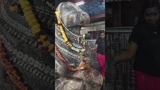పిఠాపురం శివాలయం