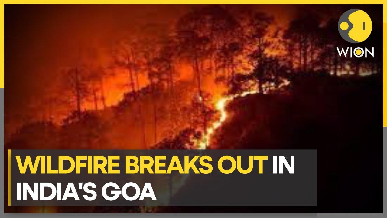 Wildfire continues to rage in India’s Goa | WION Climate Tracker