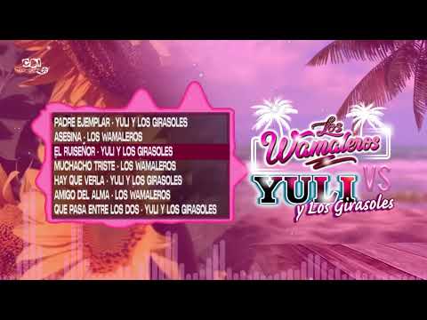 LOS WAMALEROS VS YULI Y LOS GIRASOLES