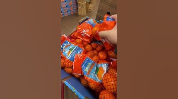 Trader Joe’s run #traderjoes #haul