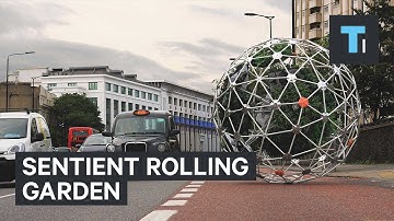 Sentient rolling garden