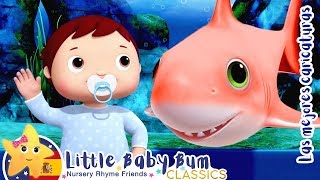 Aprender El baile de bebé tiburón ? - Canciones Para Bebè | Nuevo Little Baby Bum