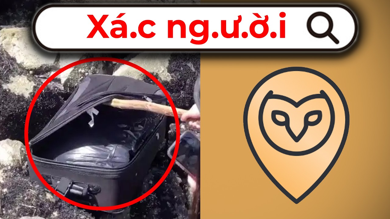 RANDONAUTICA: Ứng Dụng Giúp Bạn XUYÊN KHÔNG