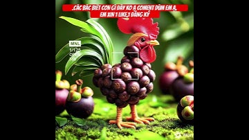 , EM XIN 1 LIKE,1 ĐĂNG KÝ KÊNH SHARE Ạ #funy #cute #xuhuong