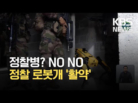 [글로벌K] 군사 훈련에 투입된 <strong>로봇</strong> 개…활용도 테스트 / <strong>KBS</strong> 2021.04.15.