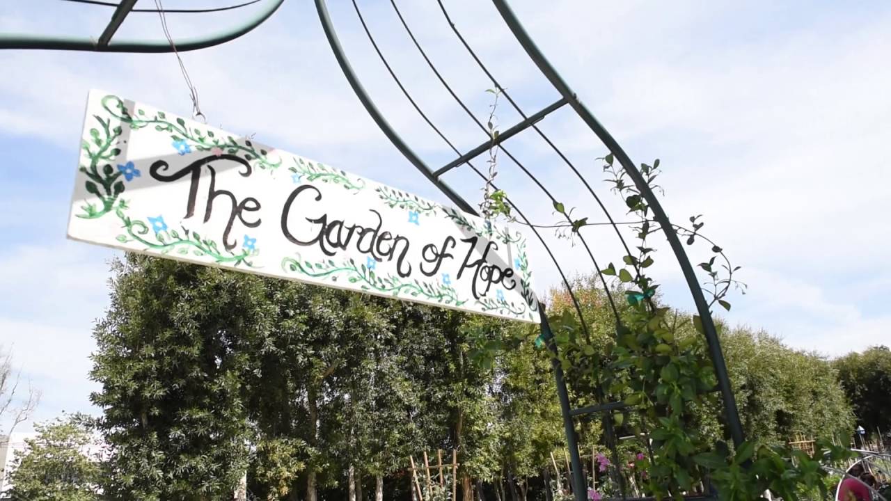 camera iphone 8 plus apk Leadership Tomorrow Health and Human Services Day