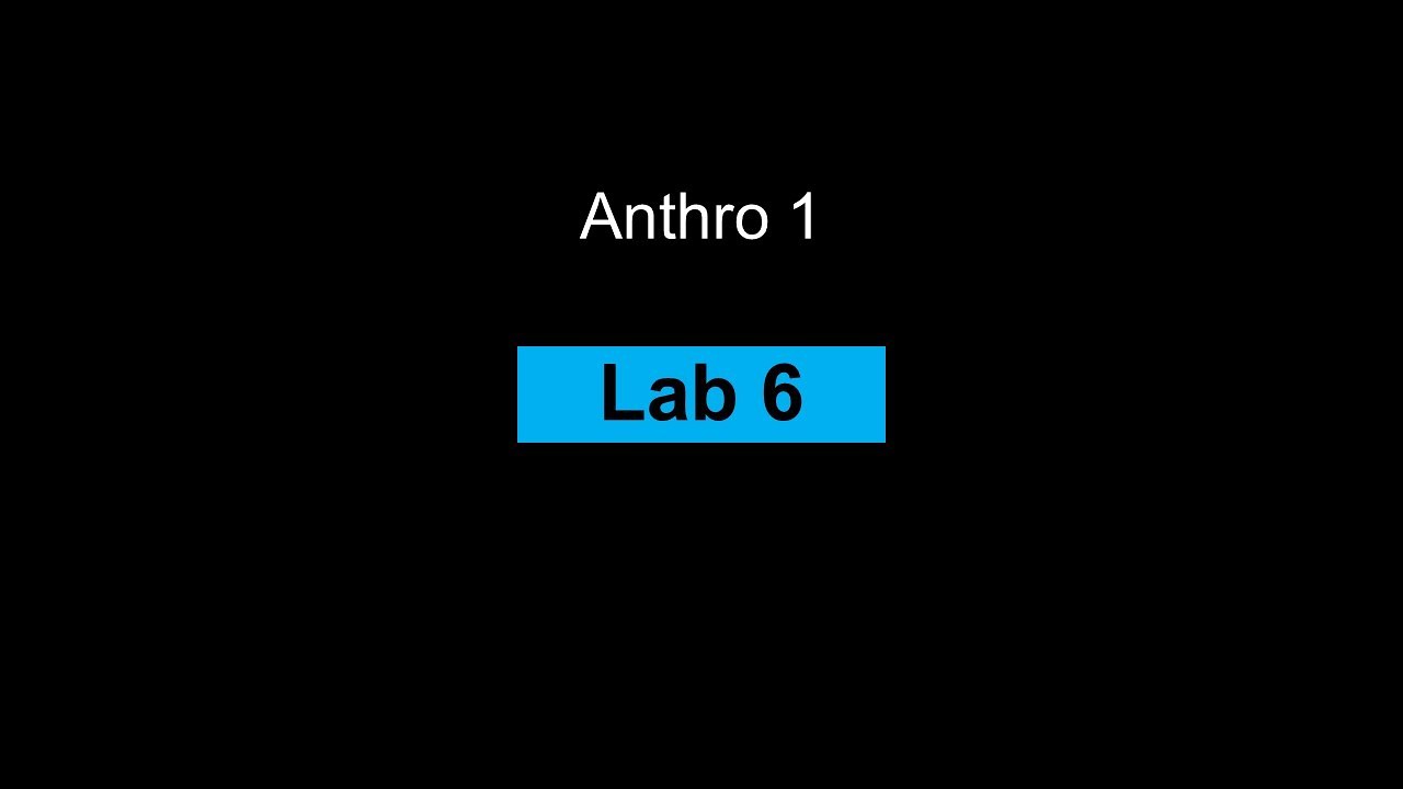 Lab 6 - YouTube