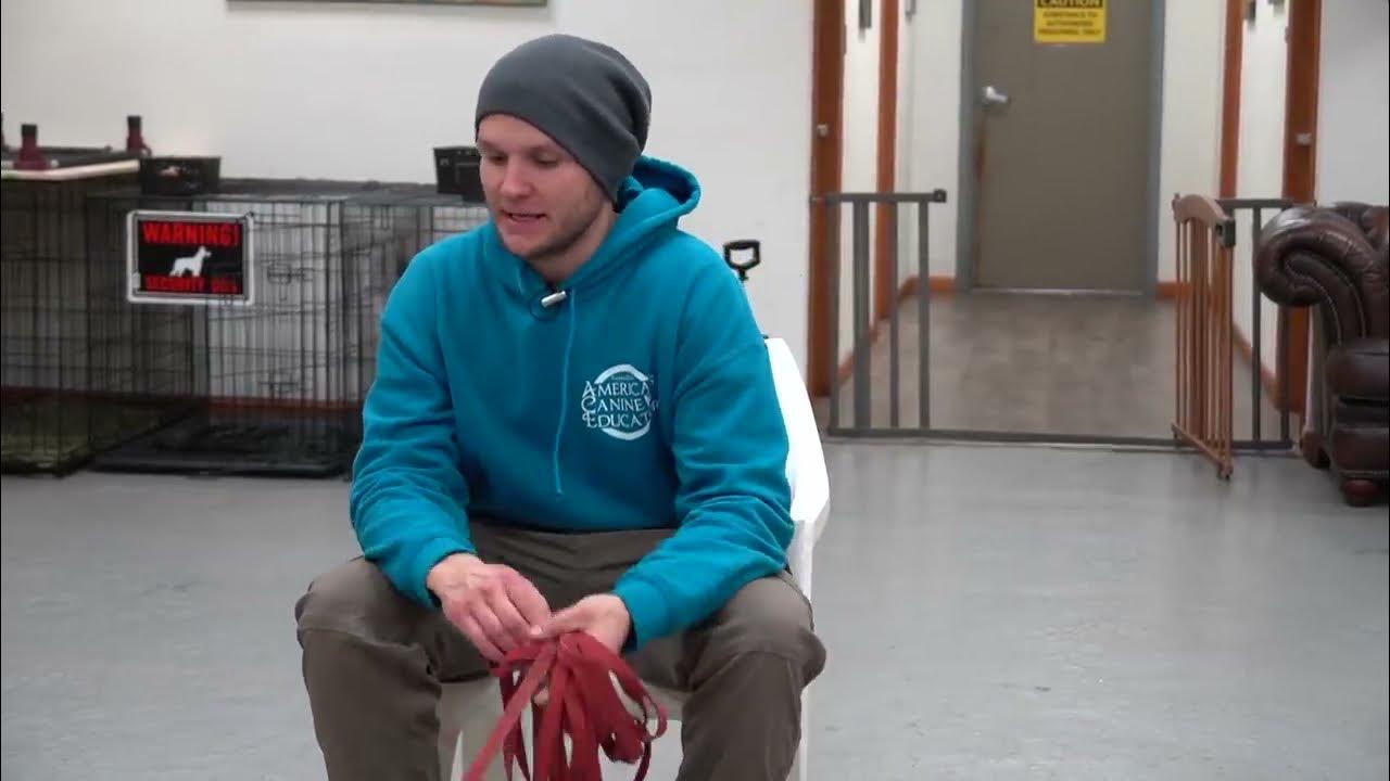 Dog goes CRAZY on leash My dog wont walk on a leash WOWZERS