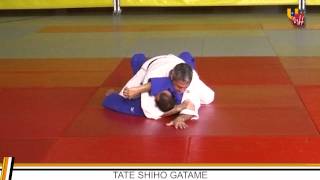 UMH - JUDO - INMOVILIZACIONES