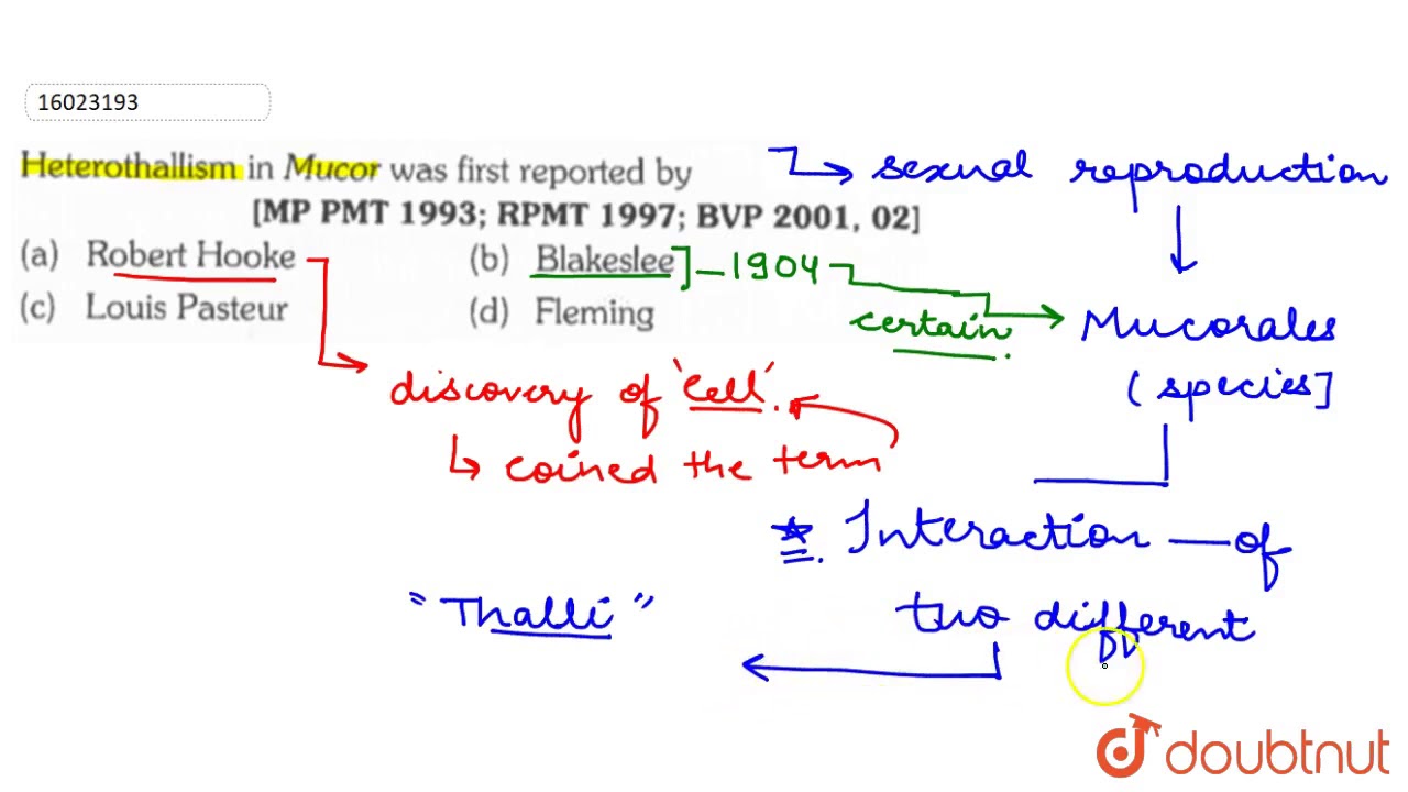 Heterothallism in Mucor was first reported by