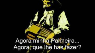 O Senhor Florencio o cego dos Vilares - Cantar da Palmeira