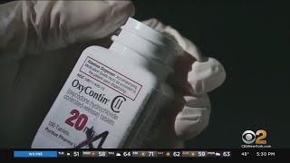 New York communities receive funding from settlement with opioid makers