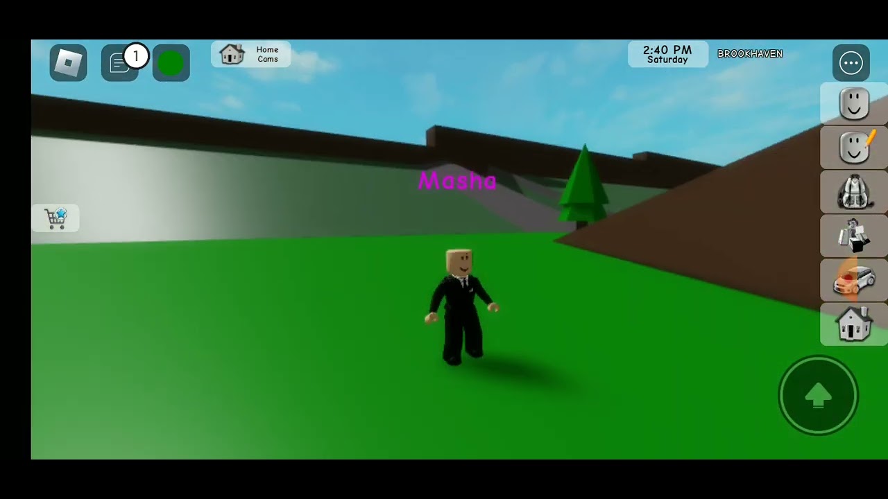 The Crystalline Gamerz Daycare Characters Brookhaven RP Roblox YouTube