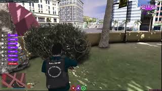 Ns Project- Five M Cheat