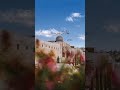 ومن أحياها فكانما احيا الناس جميعا