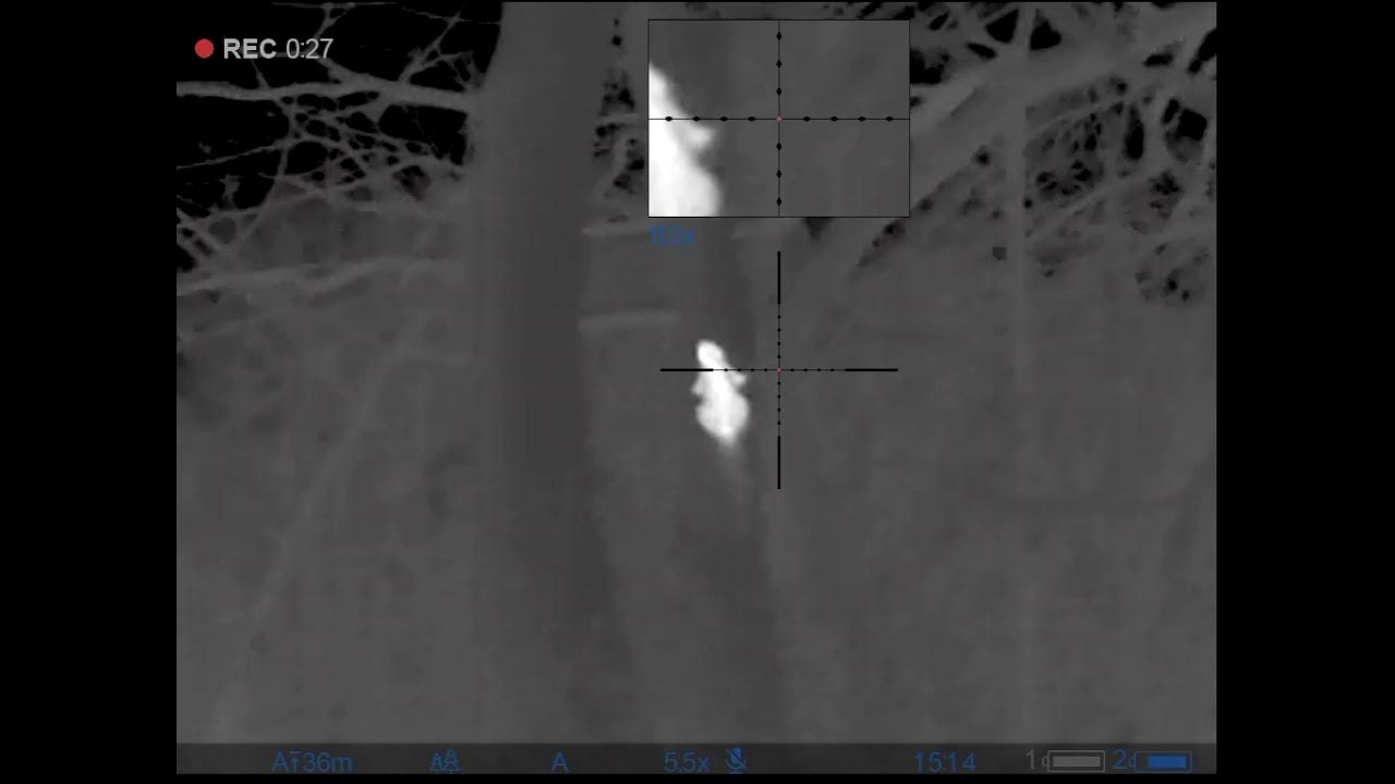 Thermal Squirrel Hunt YouTube