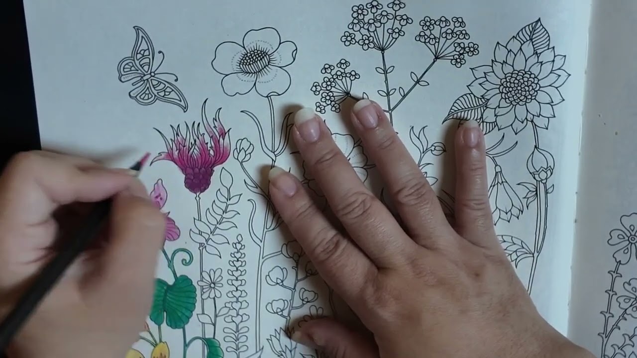 Mundo das flores - YouTube