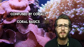 Coral Basics