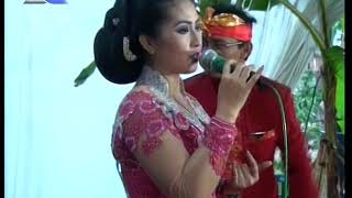 Download Lagu Loro Asmoro - Ana - Megantara Electone - CISS Audio - Metegal Sumberdodol Panekan MP3
