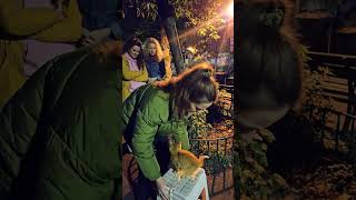 Kitten Stuck in a Tree? Watch This Rescue! 🐱 #shorts