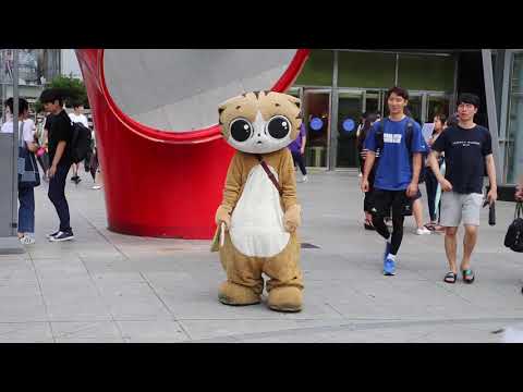JHKTV] 신촌 명물고양이널 생각해  shin chon special <strong>cat</strong> I&amp;#39;m thinking <strong>about</strong> you (dorris day  song)