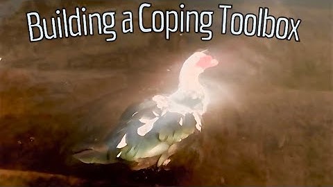 Building a Coping Toolbox