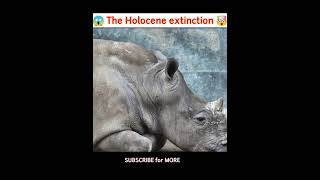?The holocene extinction ??.parallelunivers |multipleunivers|theory|short