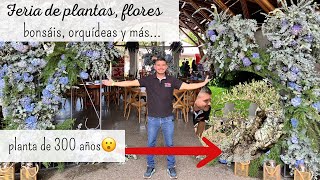 INCREÍBLE Planta con más de 300 años | EXPOFLORA by César Correa - Amantes de las Plantas 27,709 views 3 months ago 33 minutes