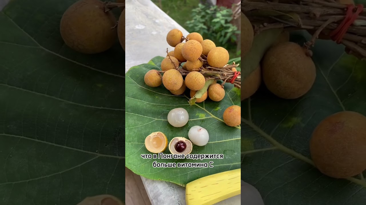 Фрукт Лонган с острова Бали 