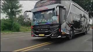 STORY WA BUS 30 DETIK TERBARU 2022|| PO.HARYANTO 'CAPOLISTA'