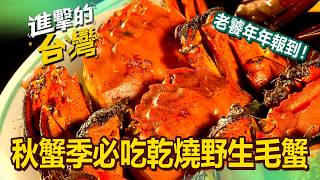 【2026最新】秋蟹季「乾燒野生毛蟹」蟹膏飽滿肉紮實饕客一吃好幾斤！浮誇海鮮丼「厚切生魚片溢出碗面+10種極致海味」宛如海鮮嘉年華(新北、宜蘭、桃園、屏東必吃)《進擊的台灣》642集