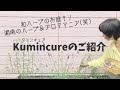 【湘南発！】ハーブ＆アロマの魅力いっぱい Kumincureのご紹介 Japanese Herb expert , Kumi's garden tour