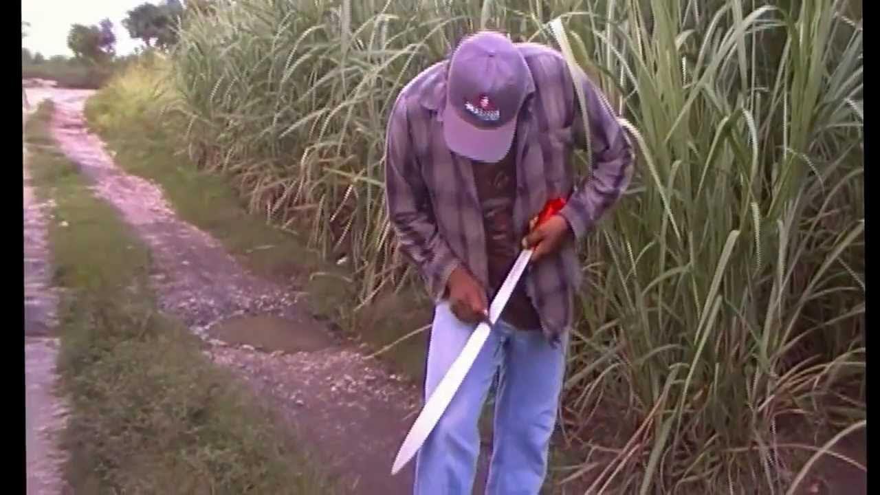 Bellota Machete afilado y corte maleza YouTube